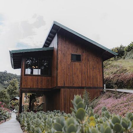 Lauraceas Lodge Сан-Херардо-де-Дота Экстерьер фото