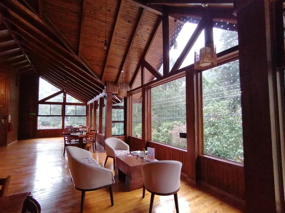 Lauraceas Lodge Сан-Херардо-де-Дота Экстерьер фото